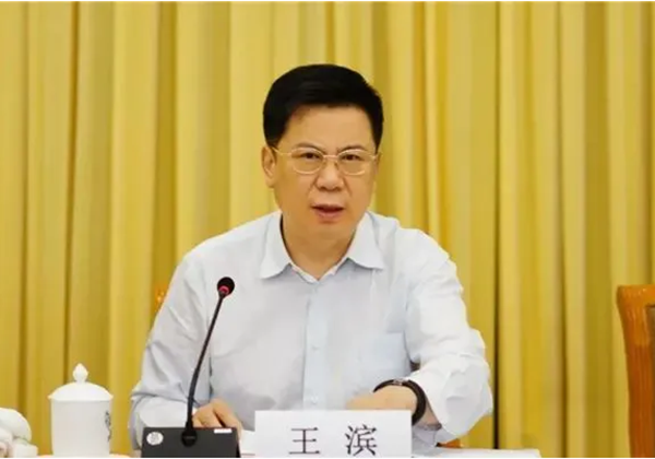 中国人寿保险（集团）公司党委书记、董事长王滨被查