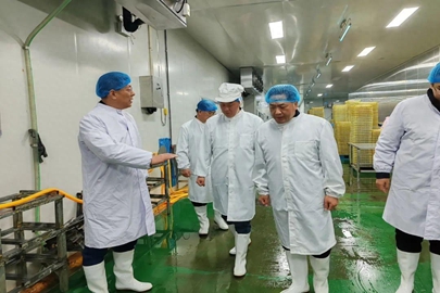 昌邑市领导走访调研速冻调制生制鸡产品行业企业