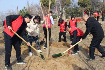 泰安市市场监管局开展“植此春绿 共护泰山”志愿植树活动