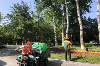 潍坊：春末夏初，园林绿化“战虫”进行时